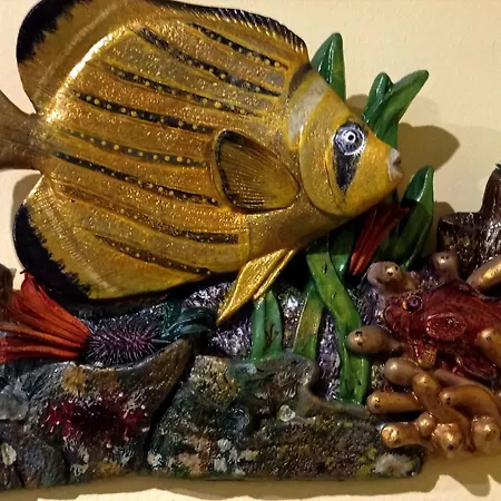 Ti Laura Praia Barra