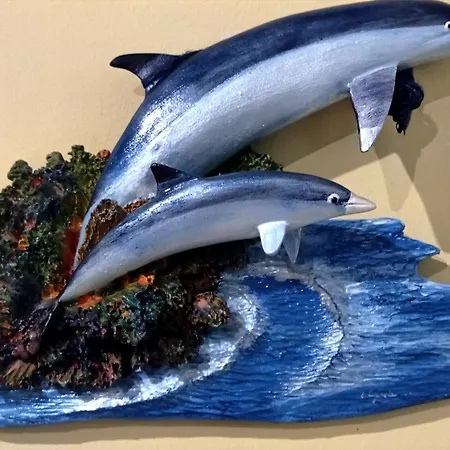 Appartement Ti Laura Praia Barra