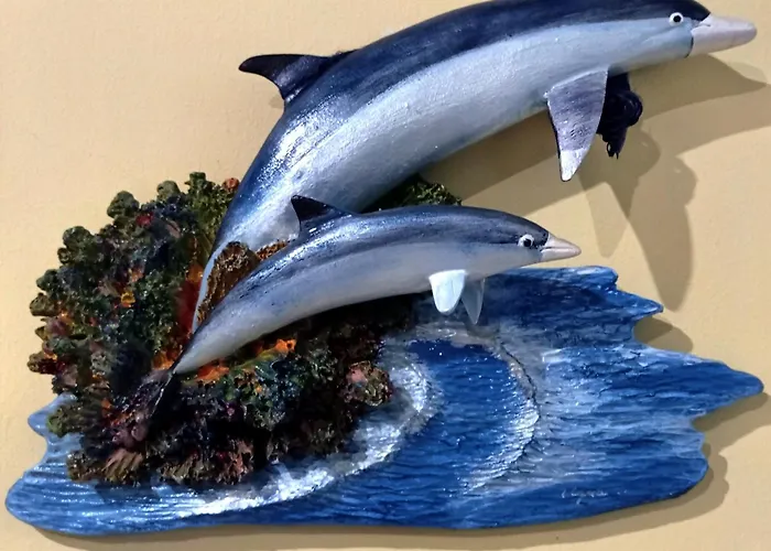 Daire Ti Laura Barra