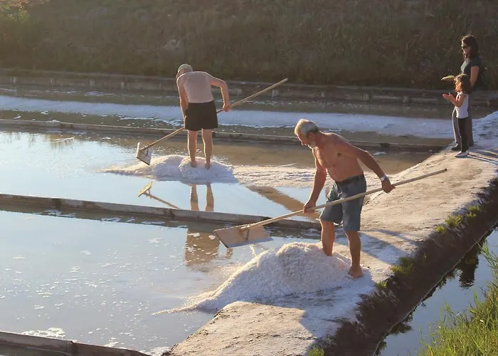 公寓 Ti Laura Barra